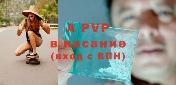 сатива Осинники