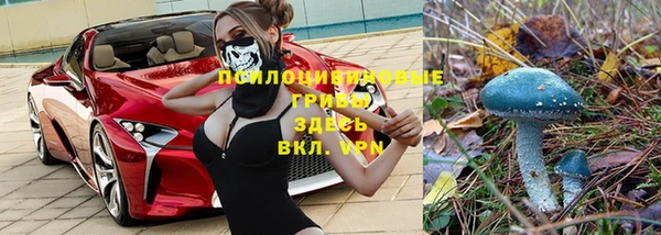 крисы Аркадак