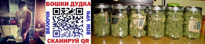 Конопля индика  Избербаш 